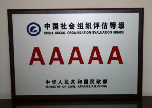 社會組織等級 社會組織等級