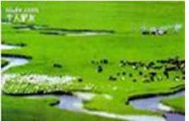 白浪街道 白浪街道