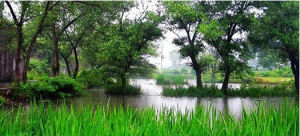 永豐國家森林公園 永豐國家森林公園