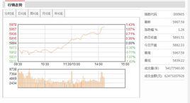中證500指數 中證500指數