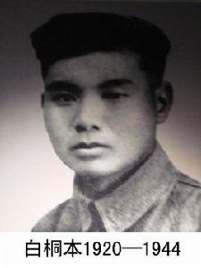 白桐本 白桐本