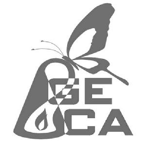 全球輯熵調控協會 全球輯熵調控協會