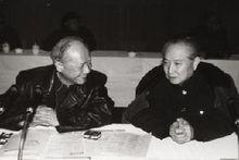 1981年12月，汪道函和沈鴻在大會上親切交談