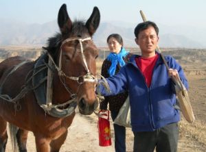 田亮[青年演員]