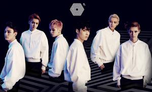 Run (奔跑) Run (奔跑)