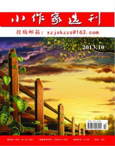 小作家選刊