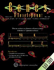 《基因與發育》