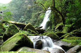 九萬山水源林保護區