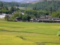 大栗園自然村 大栗園自然村