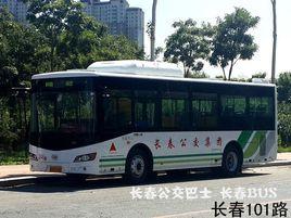 長春公交101路 長春公交101路