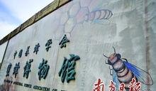 中山蜜蜂博物館