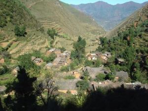 蜂子箐自然村 蜂子箐自然村