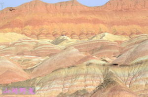 交織波浪狀鑲嵌構造 交織波浪狀鑲嵌構造