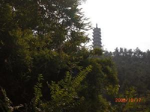 蘭若寺[《聊齋志異&middot;聶小倩》文中蘭若寺]