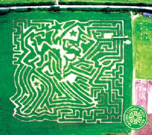 費希爾設計的迷宮