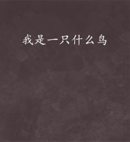 我是一隻什麼鳥 我是一隻什麼鳥