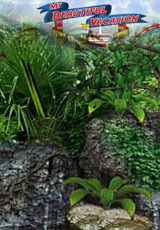 《我的美麗假期》 《我的美麗假期》