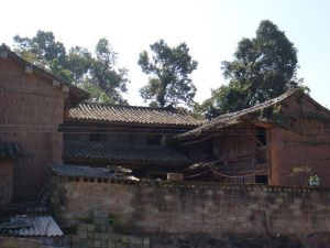 養牛箐自然村 養牛箐自然村