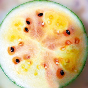 雙色冰淇淋西瓜