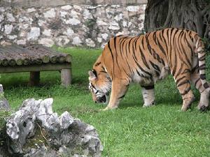 西郊動物園景點
