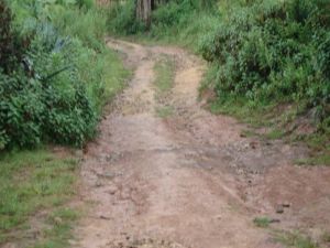 上老木寨村 上老木寨村