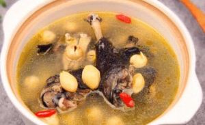 白果烏雞湯 白果烏雞湯