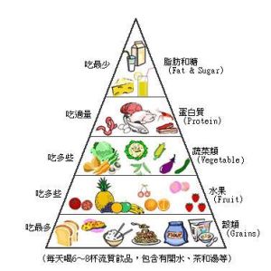 食物與健康金字塔