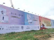 白金殼子實景圖