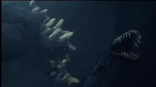 平成時期的體內放射