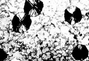 （圖）鞏縣西漢鐵中的金相組織