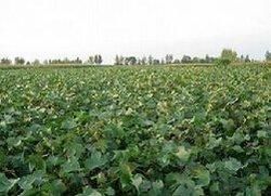 永作貴自然村 永作貴自然村