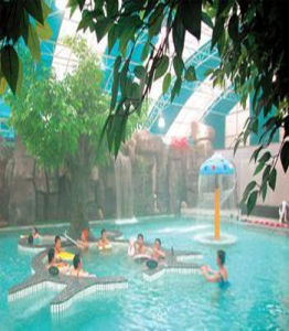 東海溫泉 東海溫泉