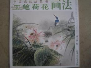工筆荷花畫法
