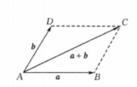 自由向量 自由向量