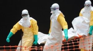 2014年，伊波拉出血熱在非洲爆發