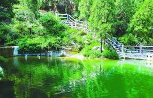 黃金谷山水畫廊 黃金谷山水畫廊