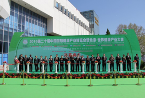 2016博覽會開幕式