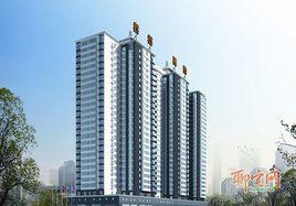 沄沄國際家園 沄沄國際家園