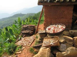 大坎子村 大坎子村