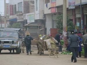 （圖）清理街道垃圾