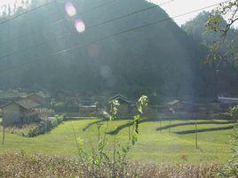 龍潭自然村[雲南省文山州丘北縣新店鄉龍潭自然村]