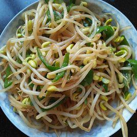 青椒炒豆芽 青椒炒豆芽