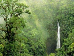 大桂山國家森林公園