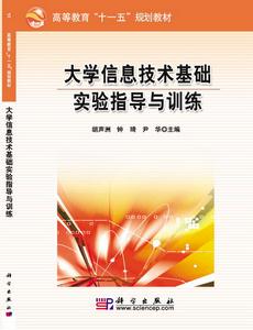大學信息技術基礎實驗指導與訓練