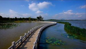 月荷湖公園 月荷湖公園