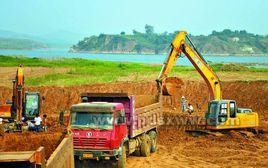 引燕入白 引燕入白