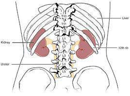 腎上腺疾病 腎上腺疾病