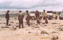 野氂牛隊 野氂牛隊