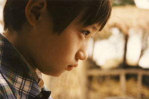 電影《牽牛花》劇照