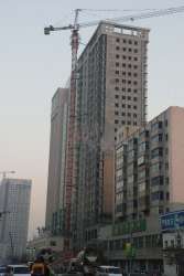 金鳥家園 金鳥家園